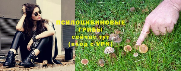 СК Армянск