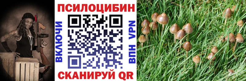 Галлюциногенные грибы ЛСД  где можно купить   Лаишево 