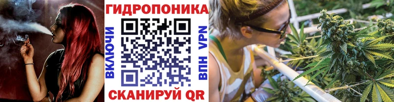 как найти   Лаишево  Каннабис THC 21% 